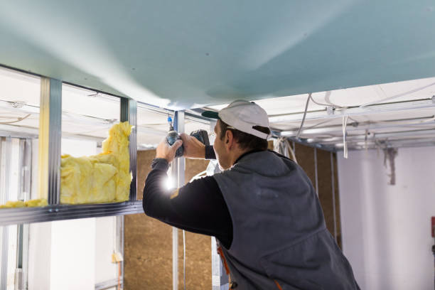 Best Attic Insulation Installation  in Beach Haven West, NJ